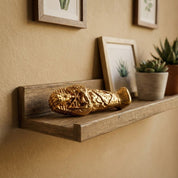 Coffin with Mummy inside